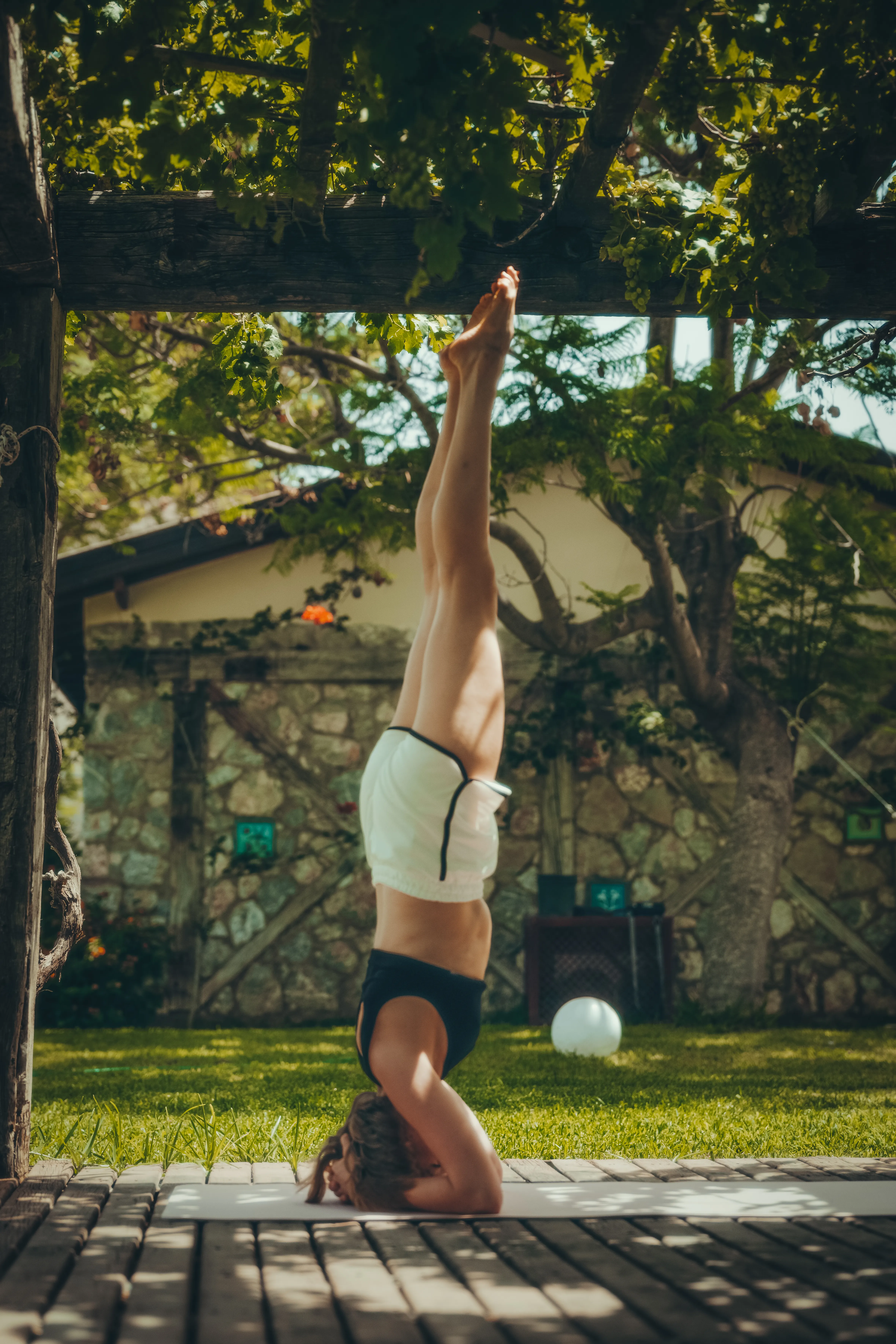 Yoga & Meditasyon - 3